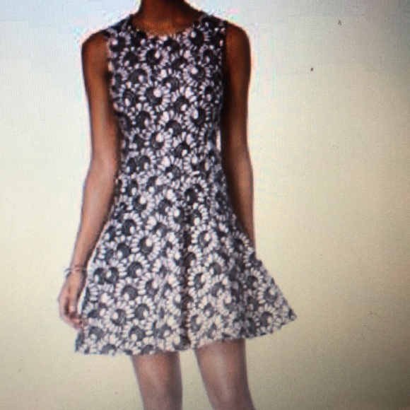 Tommy Hilfiger Sleeveless Lace Fit Flare Dress - Picture 9 of 9